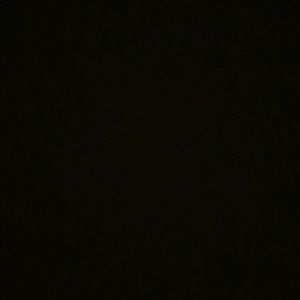 Meet your Posher, Lizzie